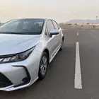 كورولا 2020 نص فل