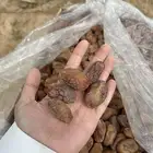 للبيع تمر خلاص و منيفي فاخر للبيع