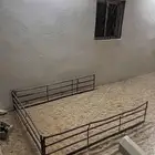 شد شاص قديم