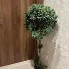 شجرة زينة