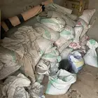 علف تمر للبهم اغلبه سكري وخلاص شي نظيف