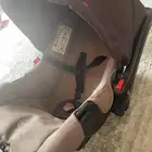 عربة أطفال من سنتربوينت