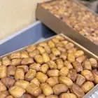 تمر نبتة علي فاخر للبيع