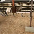 مراجيح وملاهي