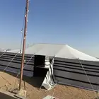 بيت شعر البيض