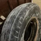 شاص