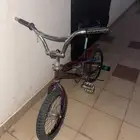 سيكل جديدد كوبرا ماقس 16 لون عنبي كان لونه كحلي واصبغه عنبي