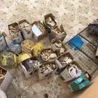 كراتين واكياس خبز للغنم