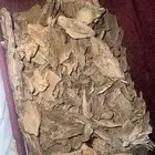 عود طبيعي ملكي كلمنتان مالينو