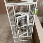 شبك ببغاء نظيف وكبير