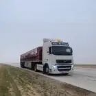 نقل حلال