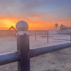 اسطبل المهره