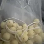 قطع مسباح