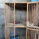 محاكر حديد