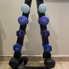 دنابل للبيع