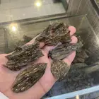 عود كلمنتان العود الازرق بالجملة