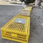 دجاج للبيع العمر 8 اشهر او اقل الموقع جنوب البجاديه