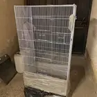 شبك وقفص عصافير و ببغاء