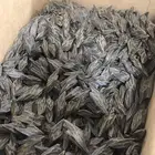 عود تايقر تصفية سعر جملة الجملة تايغر