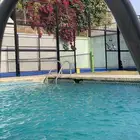 بادل لوستر