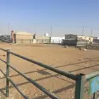 شبك للايجار سوق طويق رقم12 سوق الابل