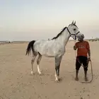 مهر