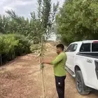 مشاتل التكامل الخضراء الزراعيه جدة -مكه المكرمة