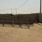 معالف للبيع