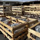 مكينة لكزس GX 6 سلندر   شد بلد أو مجددة