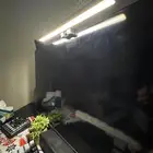 شاشه نضيفه استعمال شهرين