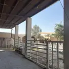 ايواء خيل