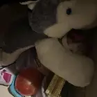 راوترات وبعض العاب اطفال وملابس واواني اذا احد يحتاجها