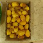 رطب وبسر وتمر