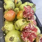 رمان طايفي انتاج مزرعه في احد رفيده