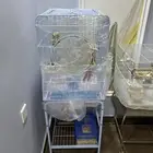 قفص ببغاء كبير