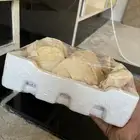 مضير  بقل ماعز