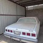 كابرس 1982 حكومي