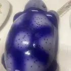 سلحفاة ضوء