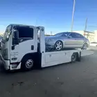 سطحه القليبه طريق تيماء تبوك