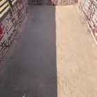 دينا 5 ونص نقل حلال