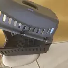 بيت قطه