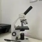 مجهر