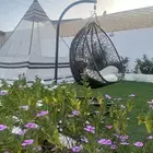 شالية روح وريحان عرض موقت ب 290 ريال فقط