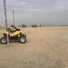 مخيمات ربيع جده