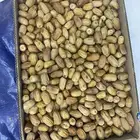 بديره درجه أولى