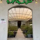 سدر باكستاني تفاحي وسدر ايراني بدون بذره