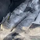 هيدروليك لكزس 460