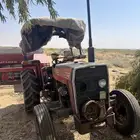 حراثة ماسي و لبانة ويلجر