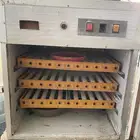 فقاسه