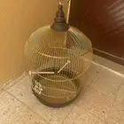 قفص طير طيور صندوق بيت